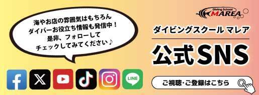 SNS｜名古屋/栄でダイビングライセンスを取得｜ダイビングスクール マレア横浜店